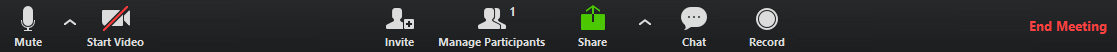 Bottom bar of Zoom showing End Meeting button