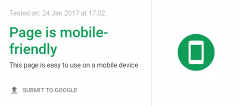 Google Mobile Friendly Checker Success